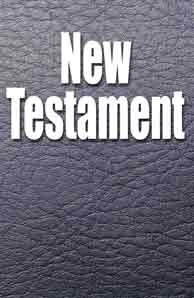 New Testament "Fathers Life Version" translated by David Dyer