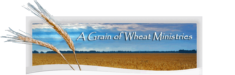 A Grain of Wheat - Grao de Trigo - David W. Dyer
