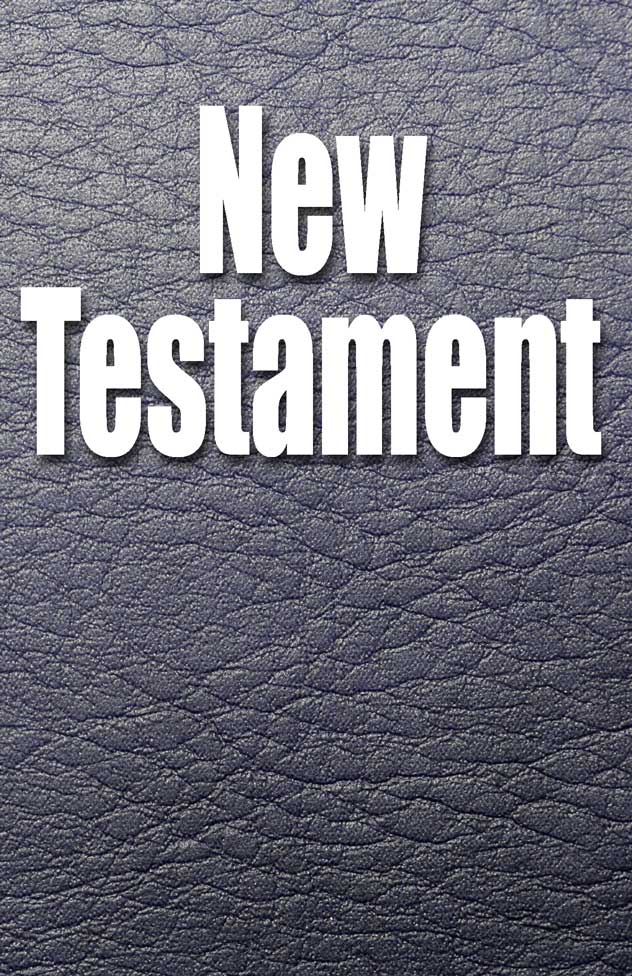 The New Testament. Emphasizing the different words for life in Greek, using the correct verb tenses regarding salvation and conveying the gospel as a much more dynamic message.